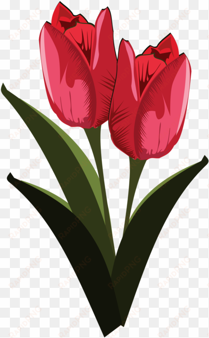 tulip clipart pretty flower - public domain clip art flower
