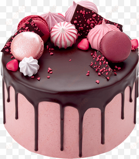 tumblr clipart cake - pink cake chocolate drip