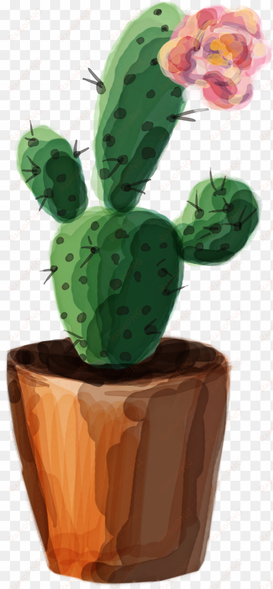 tumblr png cactus - cute quotes about cactus