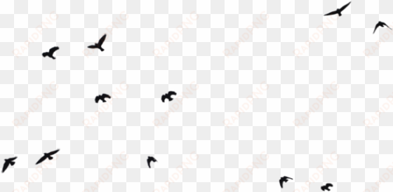 tumblr png hipster clip royalty free - birds png