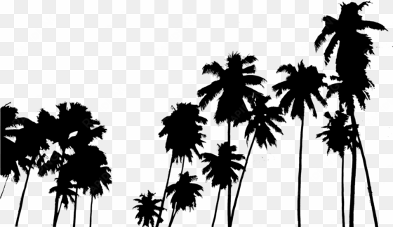 tumblr png - palm tree wallpapers for iphone