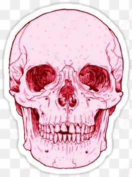 tumblr stickers - anatomically correct skull outline