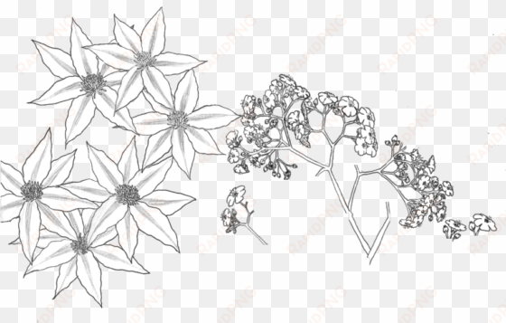 tumblr transparent flower drawing download - drawing