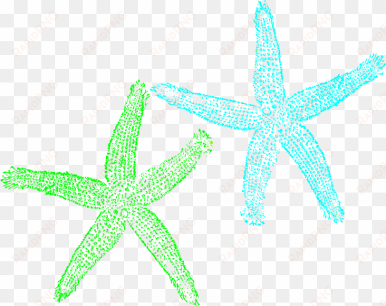 turquoise and lime green starfish png svg clip art