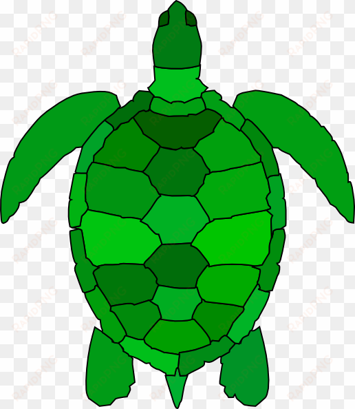 turtle clip art at clker - green sea turtle clipart