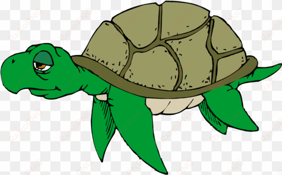 turtle clipart png transparent - old sea turtle clipart