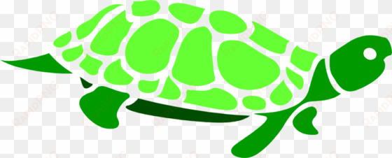 Turtle Clipart Transparent Background - Turtle With Transparent Background transparent png image