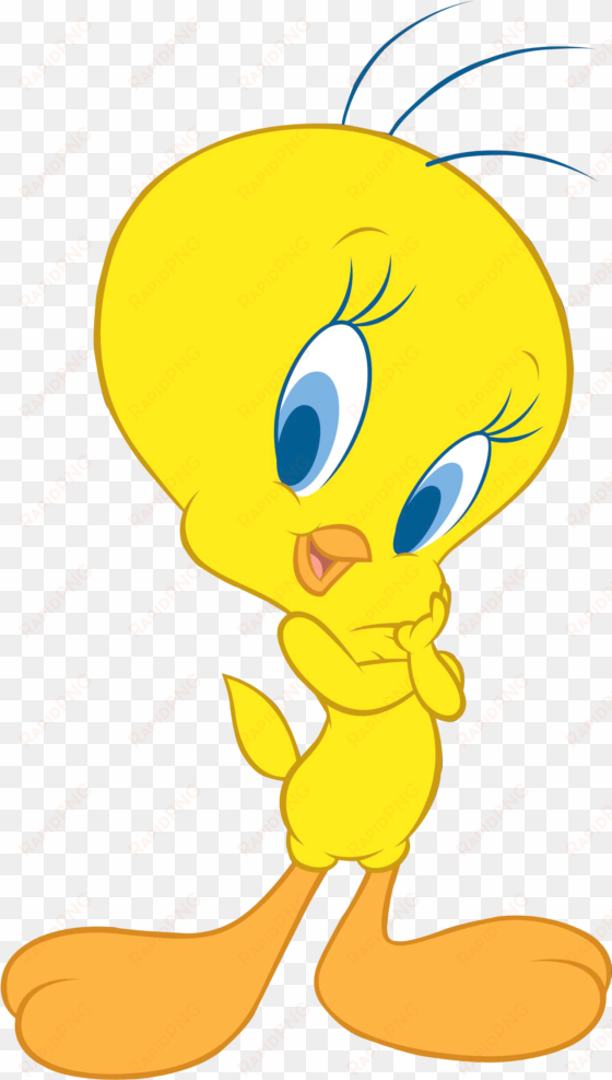 tweety bird png transparent image - tweety bird towel transparent background