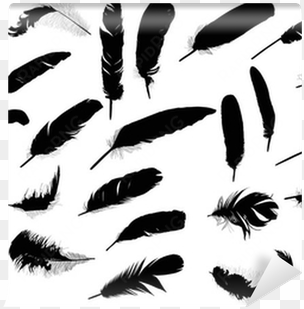 twenty six black feathers on white wall mural • pixers® - white