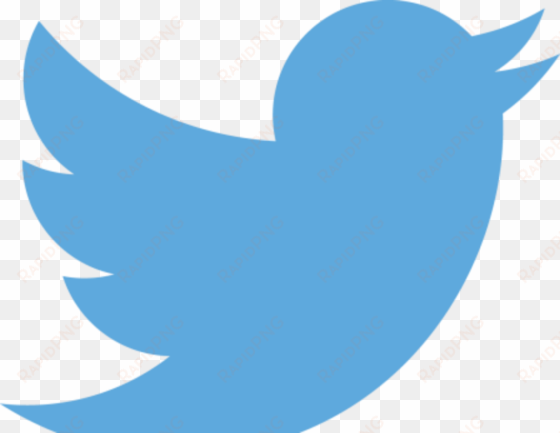 twitter logo blue - twitter logo white background