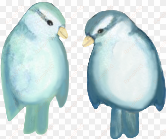 two birds watercolor couple blue freetoedit - watercolor painting