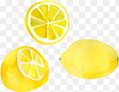 two lemons are better than one - lemon clipart