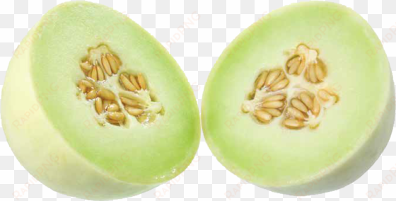 type - honeydew - honeydew