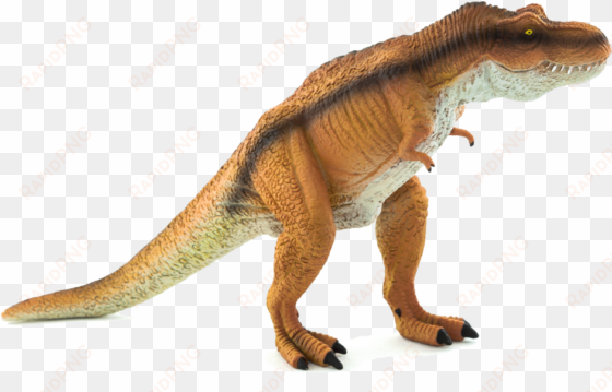tyrannosaurus rex - new 2015 - from mojö