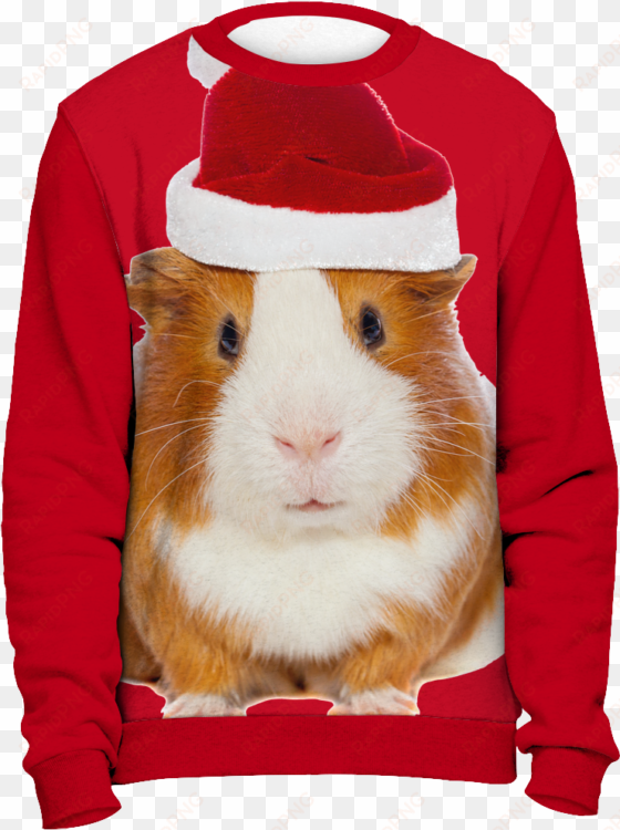 ugly christmas sweater-guinea pig - delta sigma theta ugly sweater
