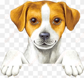 unas preciosas imagenes de mascotas, perros y gatiros - tarjetas de presentacion veterinario