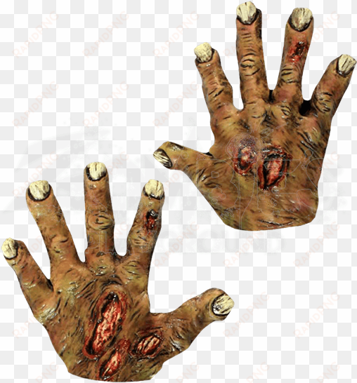 undead zombie costume hands - ghoulish productions hand gloves zombie undead pair