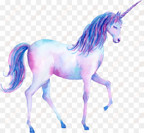 Unicorn Watercolor Ftestickers - Unicorn Walking On Rainbow transparent png image