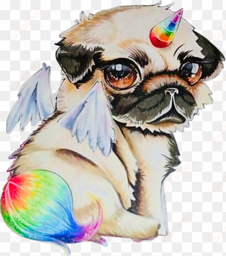 unidog rainbow anime chibi kawaii @buntereihe freetoedi - draw a unicorn dog