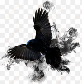 unique pictures effects of smoking crow smoke png by - bruno schulz nowy lepszy człowiek