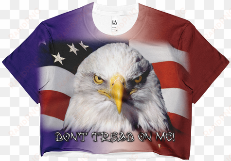 usa american flag eagle cool 24x18 print poster