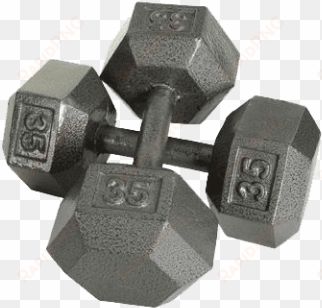 Usa Cast Iron Dumbbells - Usa Sports Cast Iron Hexagonal Dumbbell - 50 Lb transparent png image