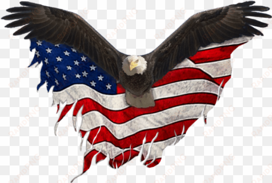 usa eagle png clip library download - eagle united states png