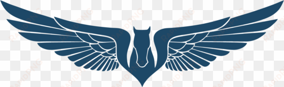 usas eagle drone - imagens de asas de anjo