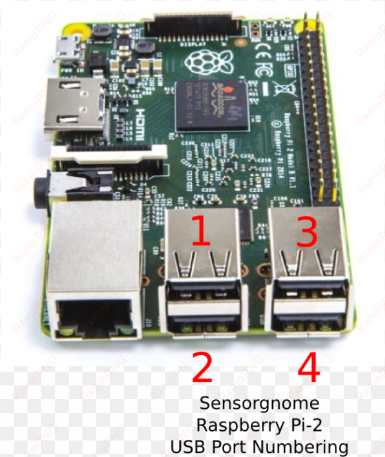 usb port numbering - raspberry pi 2 model b with noobs microsd card