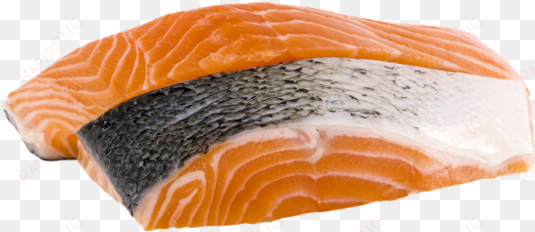 usda seafood salmon fillet organic