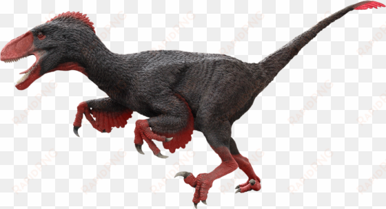 utahraptor - utahraptor dinosaur