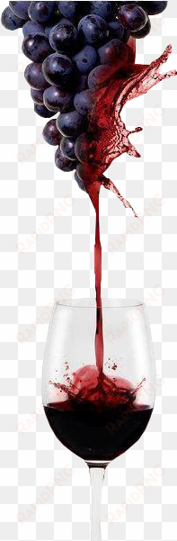 uva vino png - grapes to wine