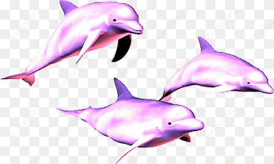 vaporwave aesthetic dolphins - vaporwave dolphin