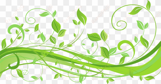 vector black and white spring decoration with leaves