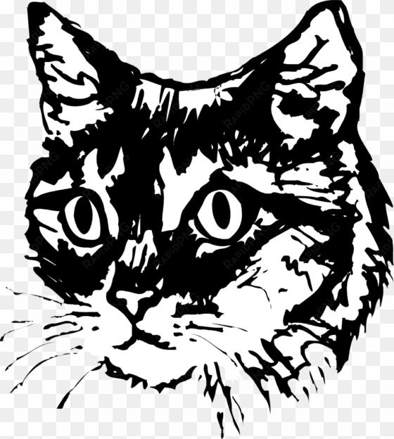 vector cats cat face clip black and white - cat face vector png