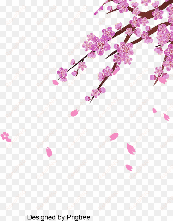 vector cherry, vector, cherry blossoms, flower png - cherry blossom