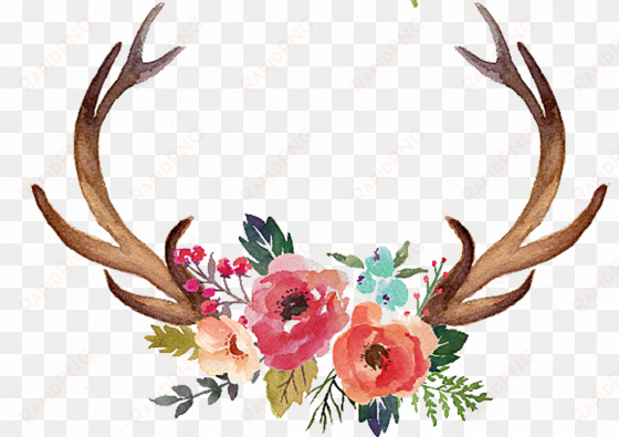 vector download antler flower moose clip art hand painted - deer antlers and flowers