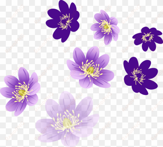 vector flower png - flower png for photoshop