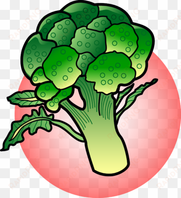 vector free download broccoli clipart - broccoli clipart food
