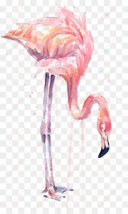 vector free stock illustration watercolor facing left - flamingo painting watercolor