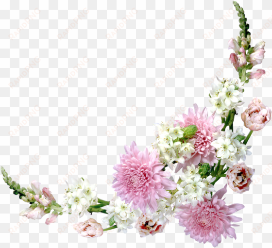 vector freeuse china aster and tuberose flowers meadows - corner flower bouquet free