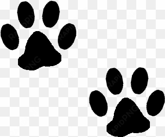 vector freeuse clipart paw prints - animasi bergerak