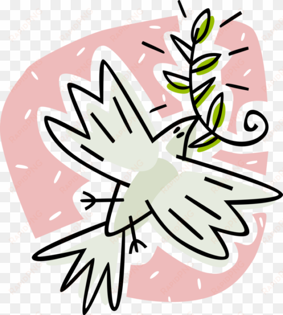 vector illustration of dove of peace bird secular symbol - olive branch