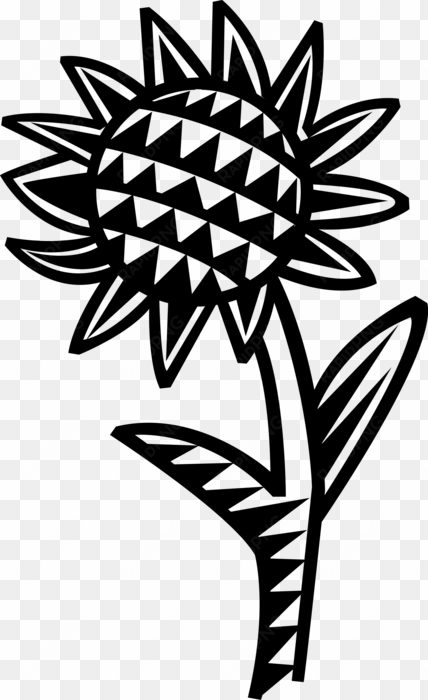 vector illustration of sunflower flower in garden