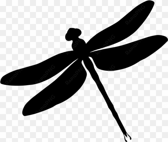 vector library library vector dragonfly black and white - dragonflies silhouette free clipart