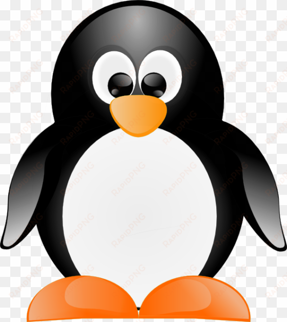 vector penguin - vector image penguin