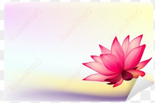 vector photo-realistic lotus flower on abstract background - sacred lotus