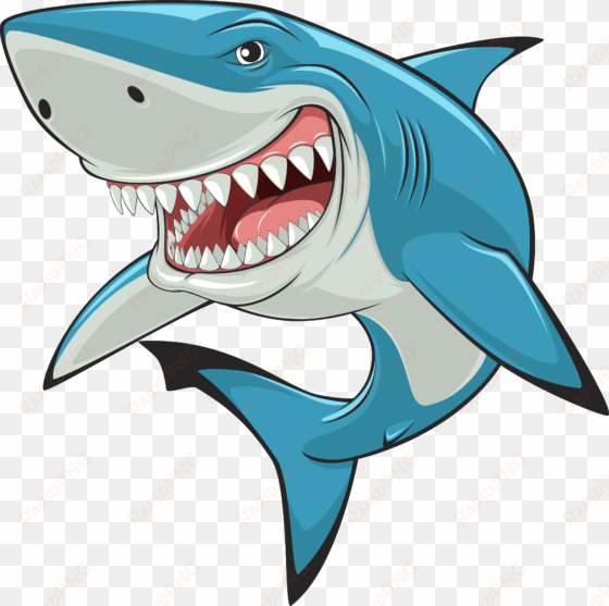 vector royalty free stock hammerhead great white art - shark cartoon