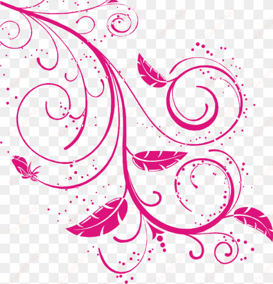 vector swirl designs - flower border