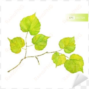 vector watercolor leaf - 잎사귀 수채화